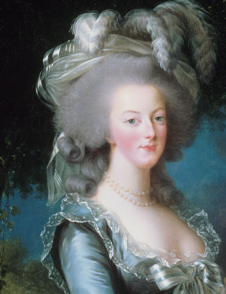Detail of Marie Antoinette with a Rose (1783). 
