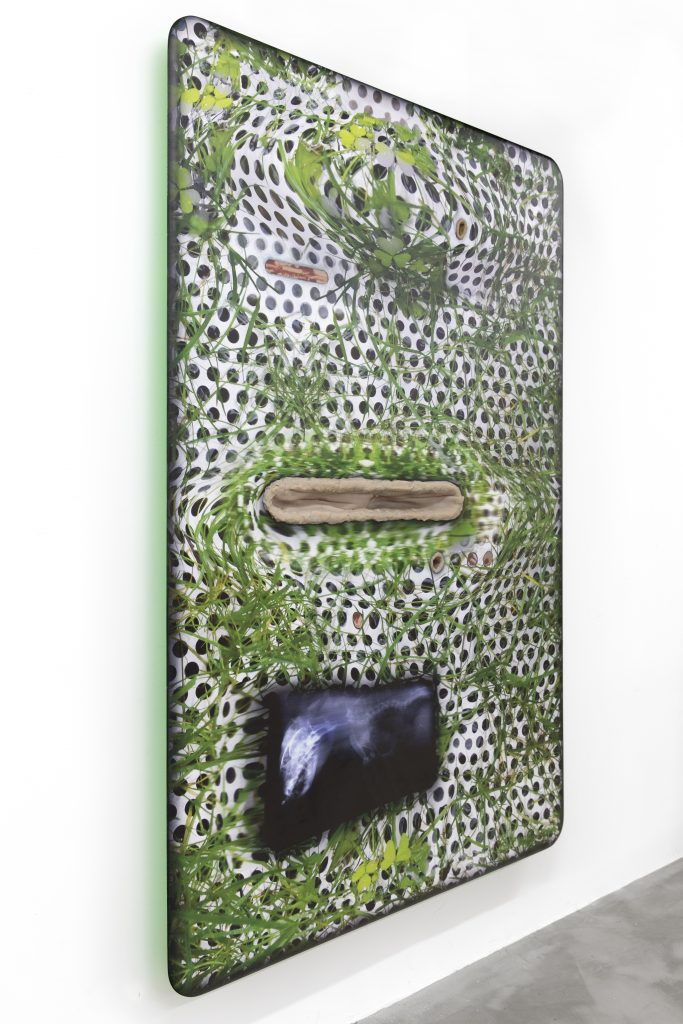 Tishan Hsu, <i>grass-screen-skin / object 3</i>, 2023. Courtesy of the artist, Empty Gallery and Miguel Abreu Gallery. © Tishan Hsu/ Artists Rights Society (ARS), New York