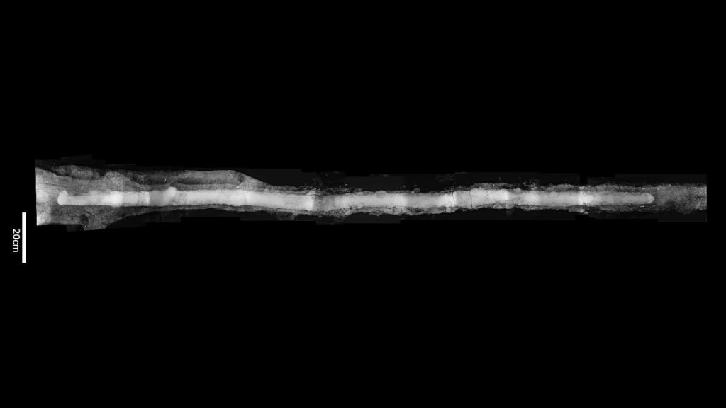 An X-ray image of the sword. Photo: Archaeological Institute of Kashihara, Nara.