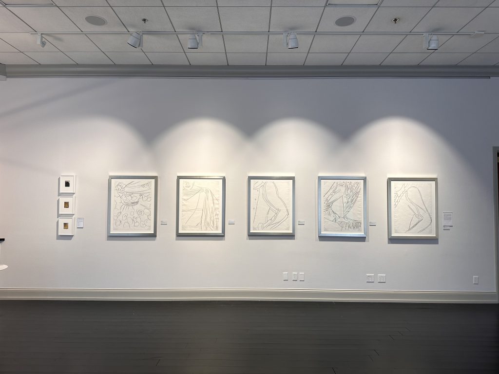 Installation view of "Andy Warhol: A Life Well Drawn" (2023). Courtesy of Long-Sharp Gallery, Indianapolis.