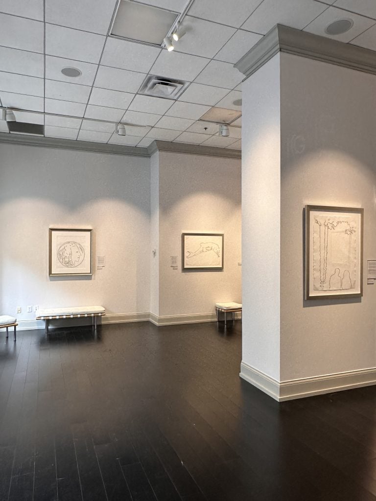 Installation view of "Andy Warhol: A Life Well Drawn" (2023). Courtesy of Long-Sharp Gallery, Indianapolis.
