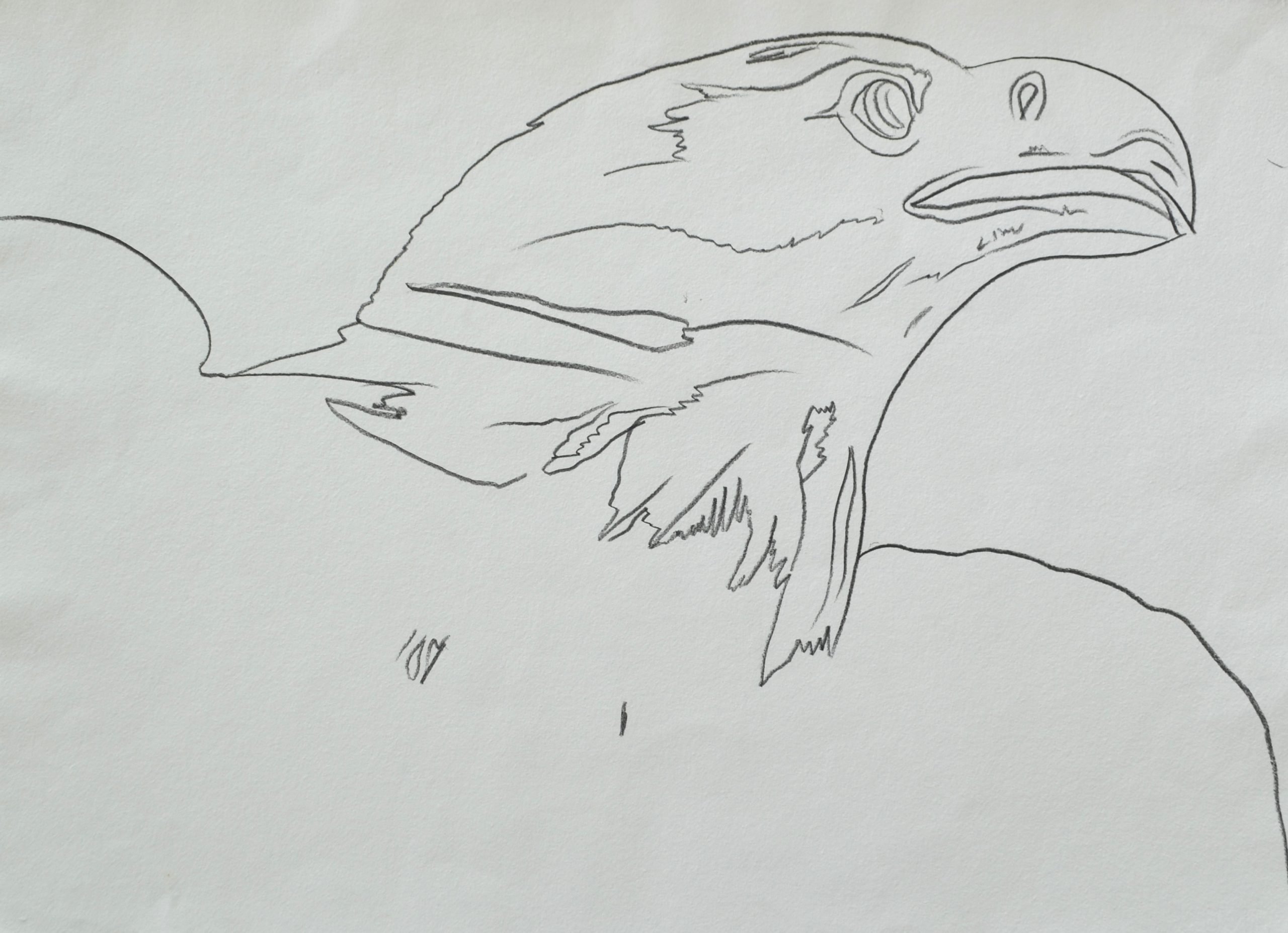 Andy Warhol, Bald Eagle (from Endangered Species) (1983). Courtesy of Long-Sharp Gallery, Indianapolis.