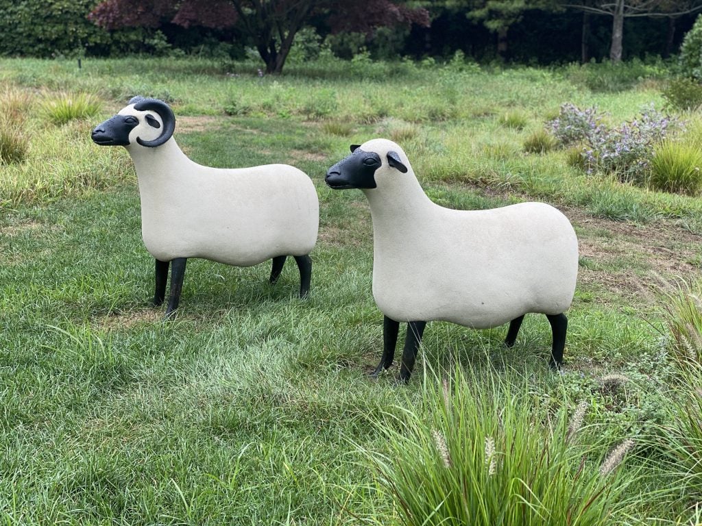Lalanne sheep at Christina and Emmanuel Di Donna's home, courtesy Christina Di Donna.