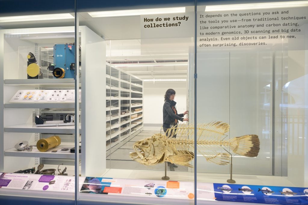 The Collections Core in the new Richard Gilder Center for Science, Education, and Innovation at the American Museum of Natural History. Photo by Alvaro Keding, courtesy of the American Museum of Natural History, New York. 