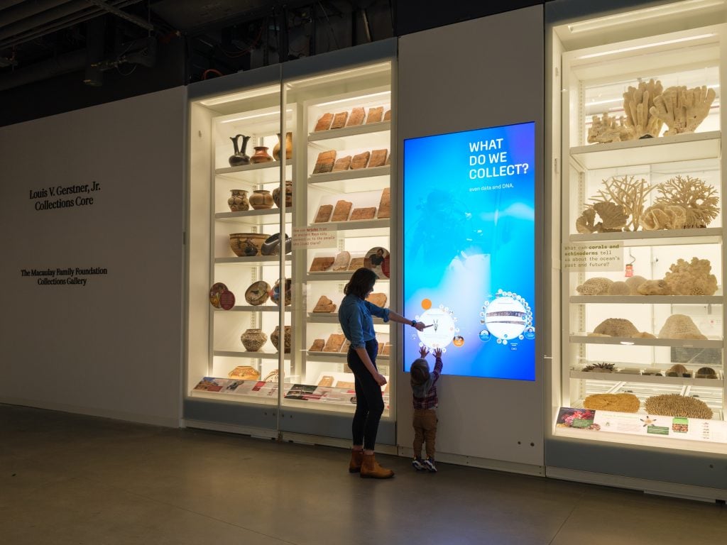 The Collections Core in the new Richard Gilder Center for Science, Education, and Innovation at the American Museum of Natural History. Photo by Alvaro Keding, courtesy of the American Museum of Natural History, New York. 