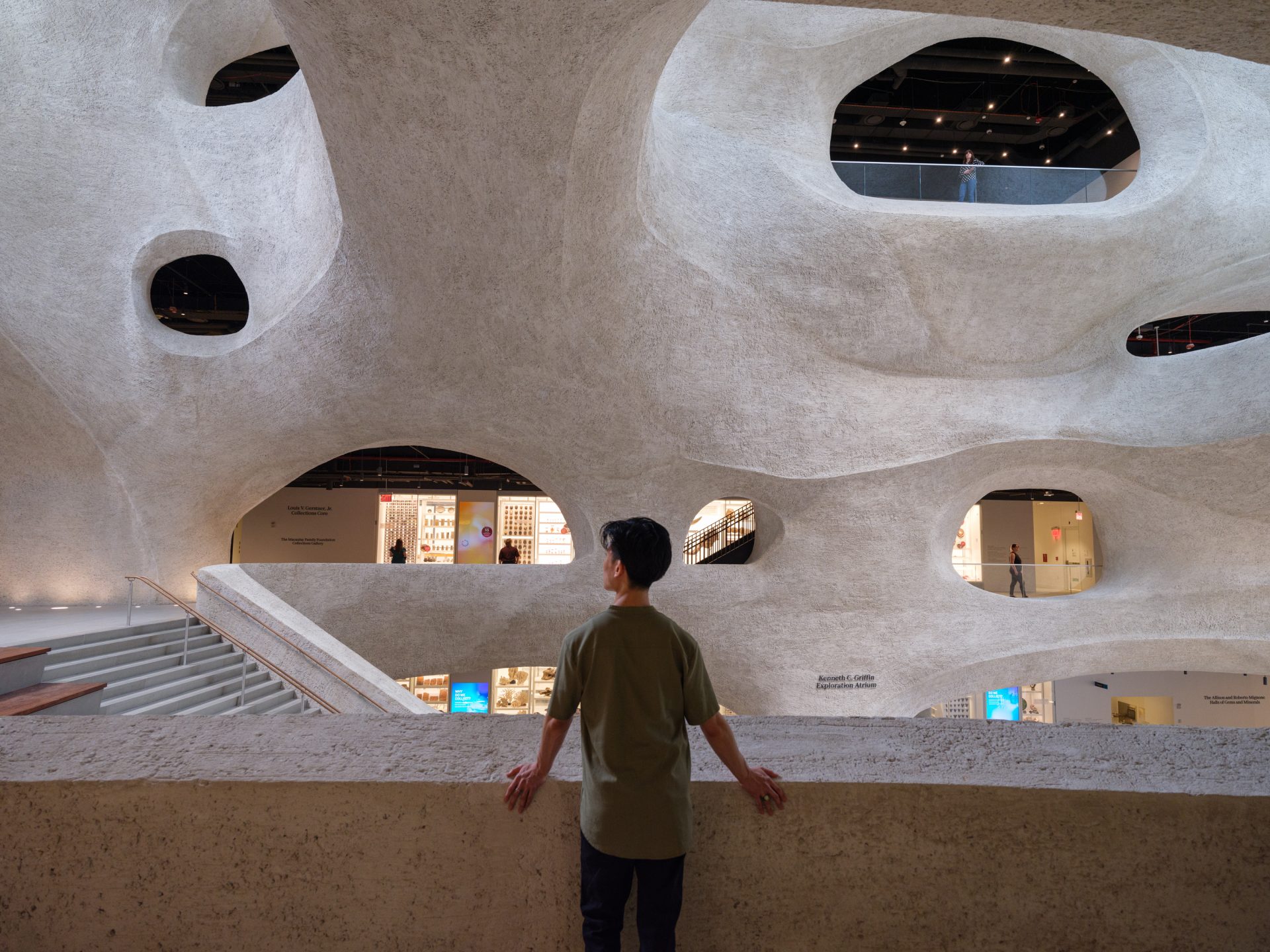 See Inside The American Museum Of Natural History’s Cavernous New ...