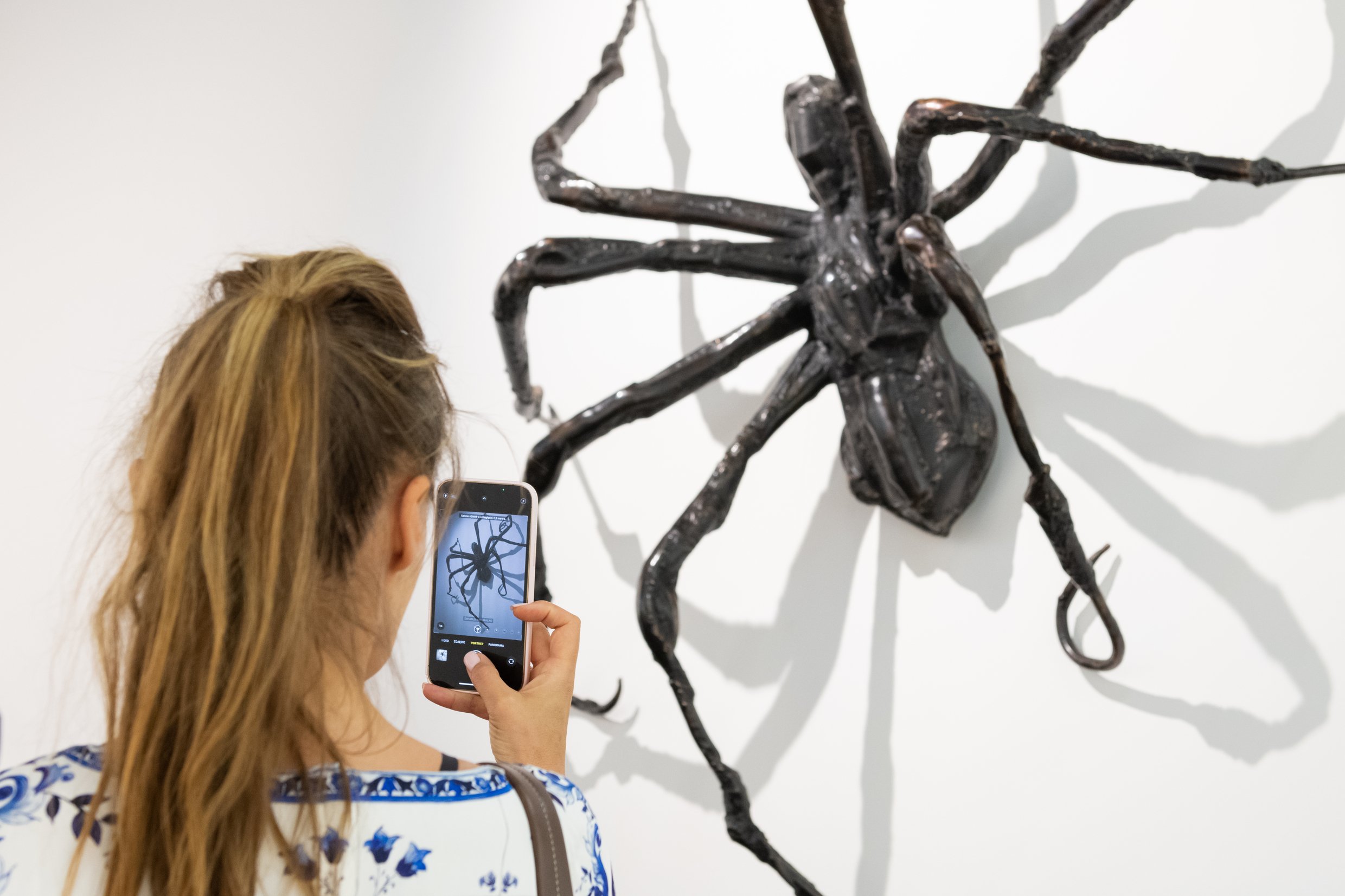 Louise Bourgeois's Spiders - For Sale on Artsy