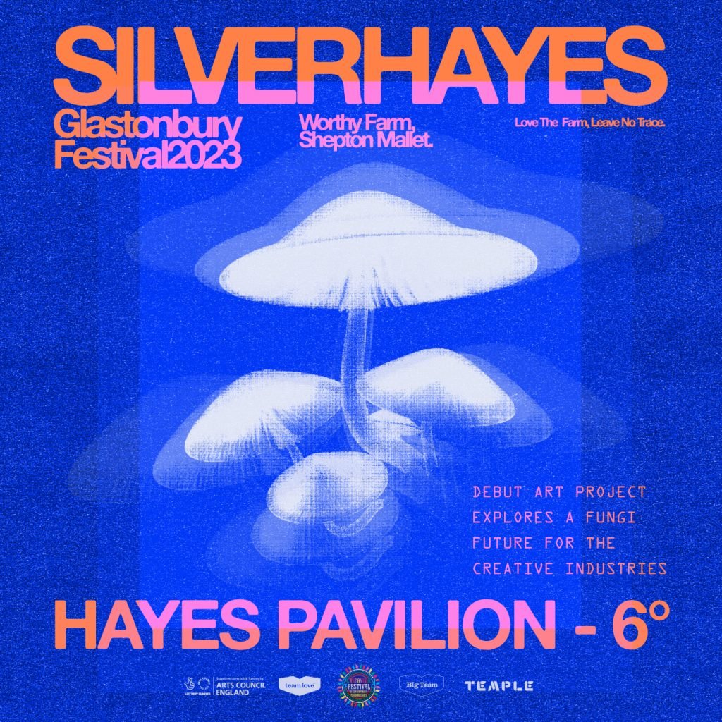Silver Hayes Pavilion Poster
