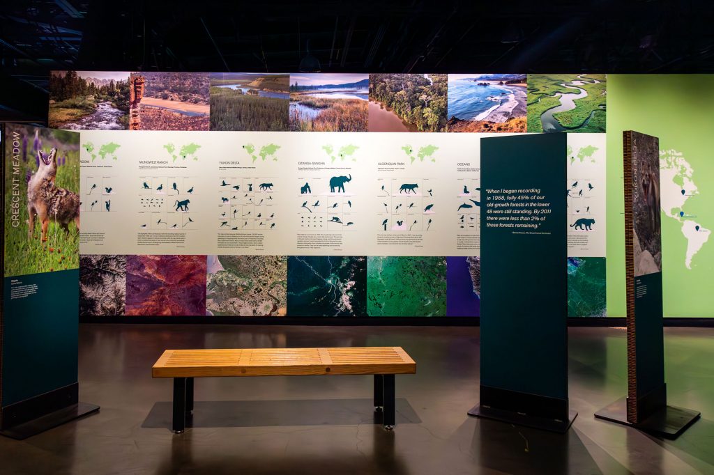 A display showing the biophonies in various parts of the world. Courtesy of the Exploratorium.