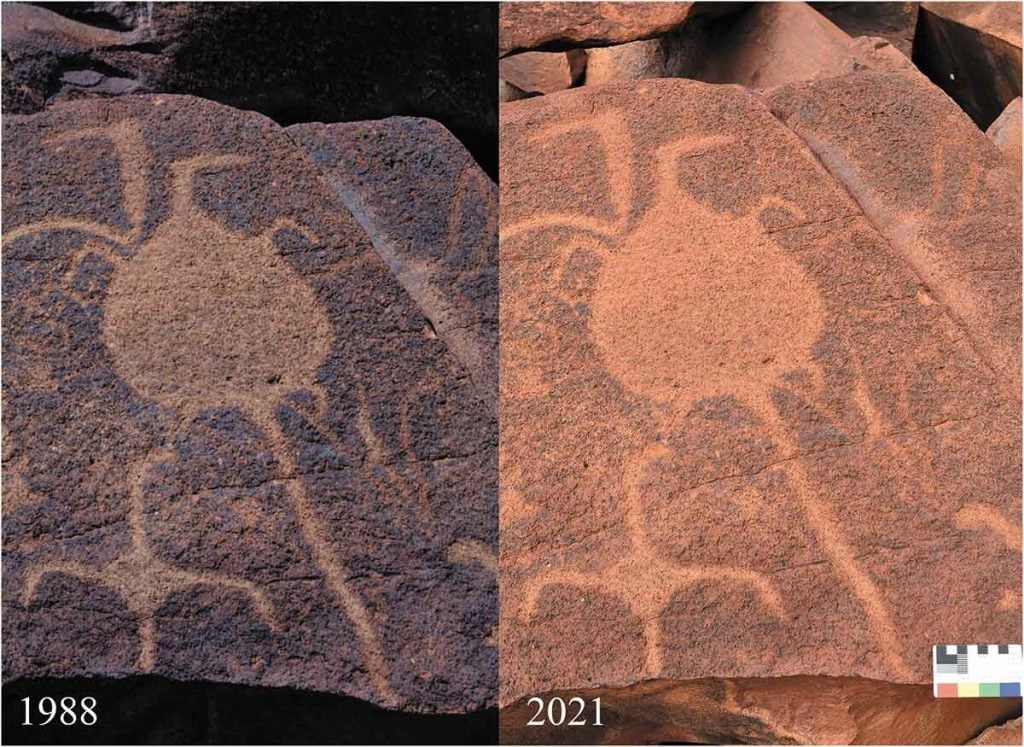 rock art australia petroglyph Murujuga rocks
