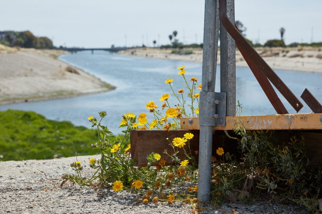 Sterling Wells's worksite in Ballona Creek, Los Angeles. Photo by Nik Massey, courtesy of Night Gallery, Los Angeles.