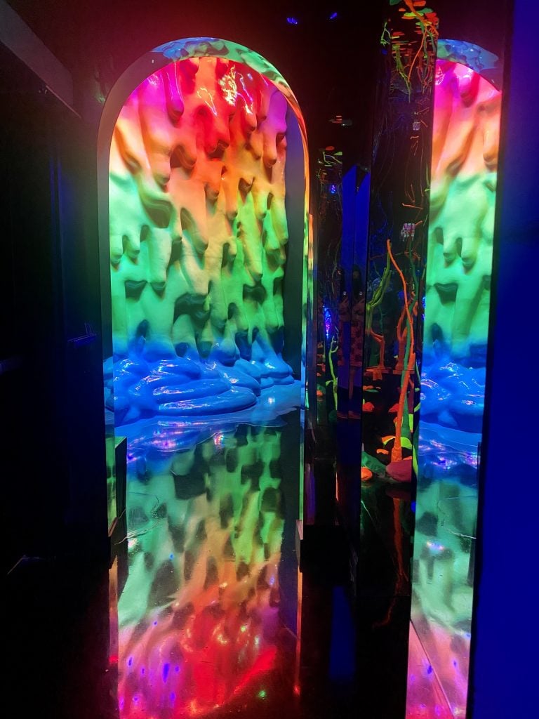 Dan Lam, <em>Macrodose</em> in Meow Wolf the Real Unreal in Grapevine, Texas. Photo by Sarah Cascone. 