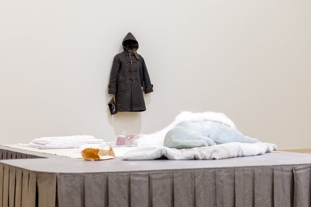 Installation view "Liz Magor: The Rise and The Fall" at The Douglas Hyde. Courtesy of The Douglas Hyde.