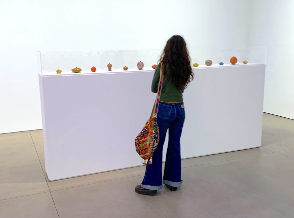 Installation view of "Doyle Lane: Weed Pots." 