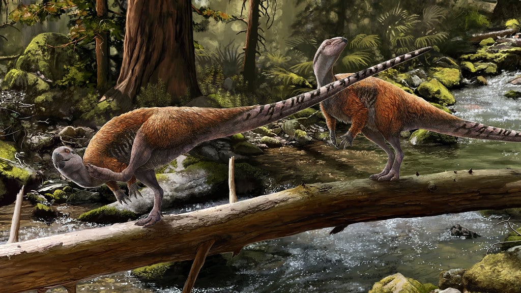 New Dinosaur Discovered 2024 Video Luise Robinia