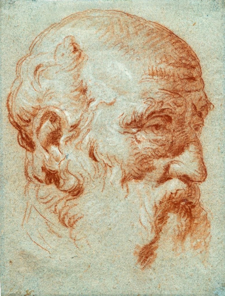 Giovanni Battista, <em>Tiepolo Study of the Head of Giulio Contarini</em>. Courtesy of the Brown Collection.