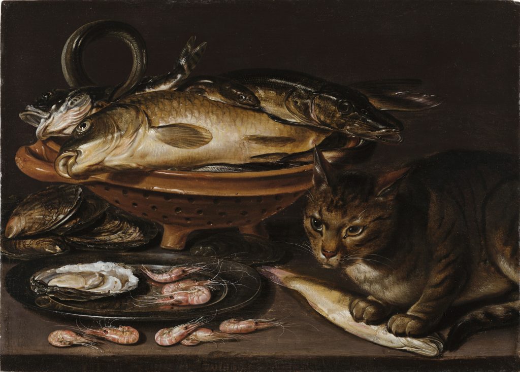 Clara Peeters, Still Life of Fish and Cat (after 1620). Collection of the National Museum of Women in the Arts, gift of Wallace and Wilhelmina Holladay. A orange ceramic colander holds several types of fish of varying sizes that lie stacked. In the foreground, a cat stands alert with its paws on a yellow fish. In front of the colander, a gleaming pewter dish holds shrimp and oyster shells. The surfaces all reflect and shine.