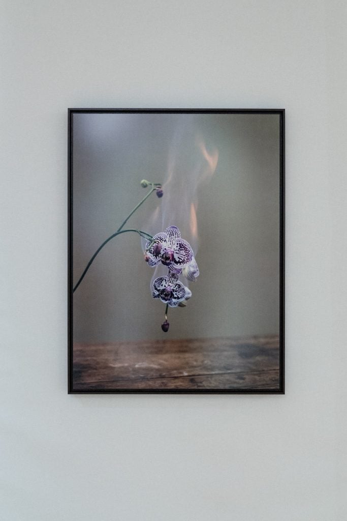 Guerlain's Flower-Themed Paris Art Show Is a Surprisingly Sensual