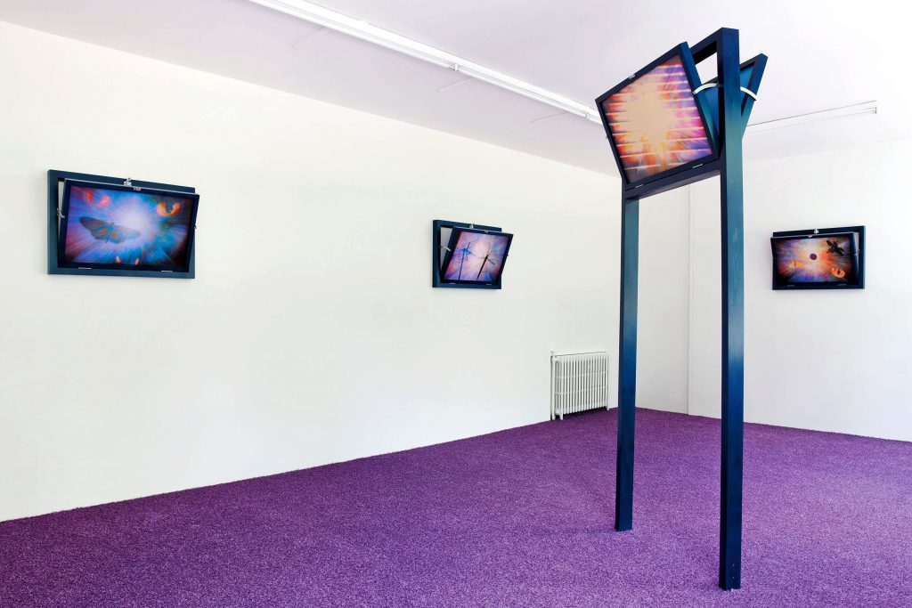 Jonah Pontzer, Fresh Hell, installation view, Rose Easton, London. Photo: Theo Christelis.