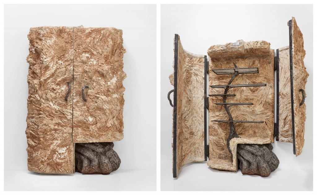 Nacho Carbonell's Contain Nature cabinet. Courtesy of Carpenters Workshop Gallery.