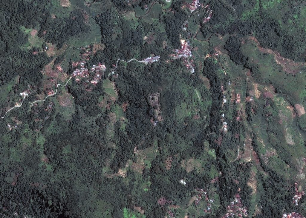 An aerial view of a site crowded with trees