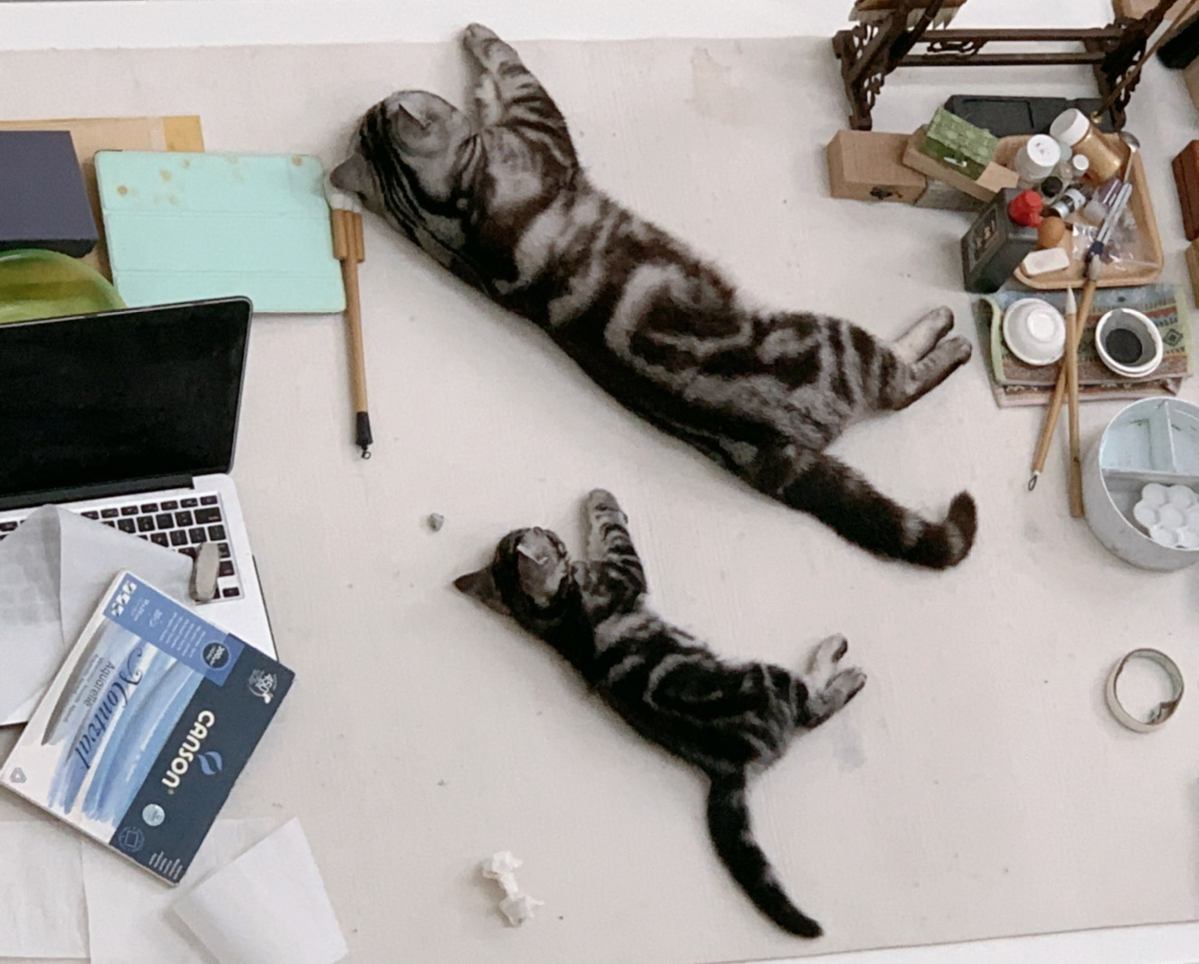 Zhang Xiaoli Upends Traditional Chinese Painting Techniques in Her