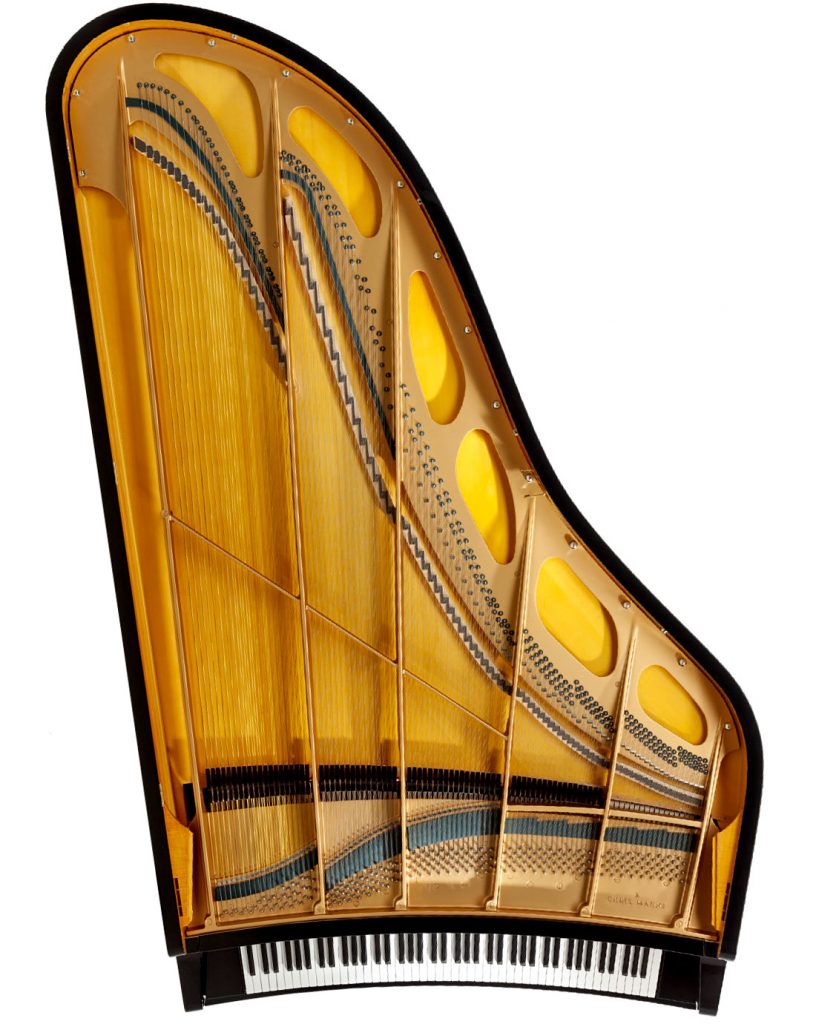 The Maene-Viñoly concert grand piano. 