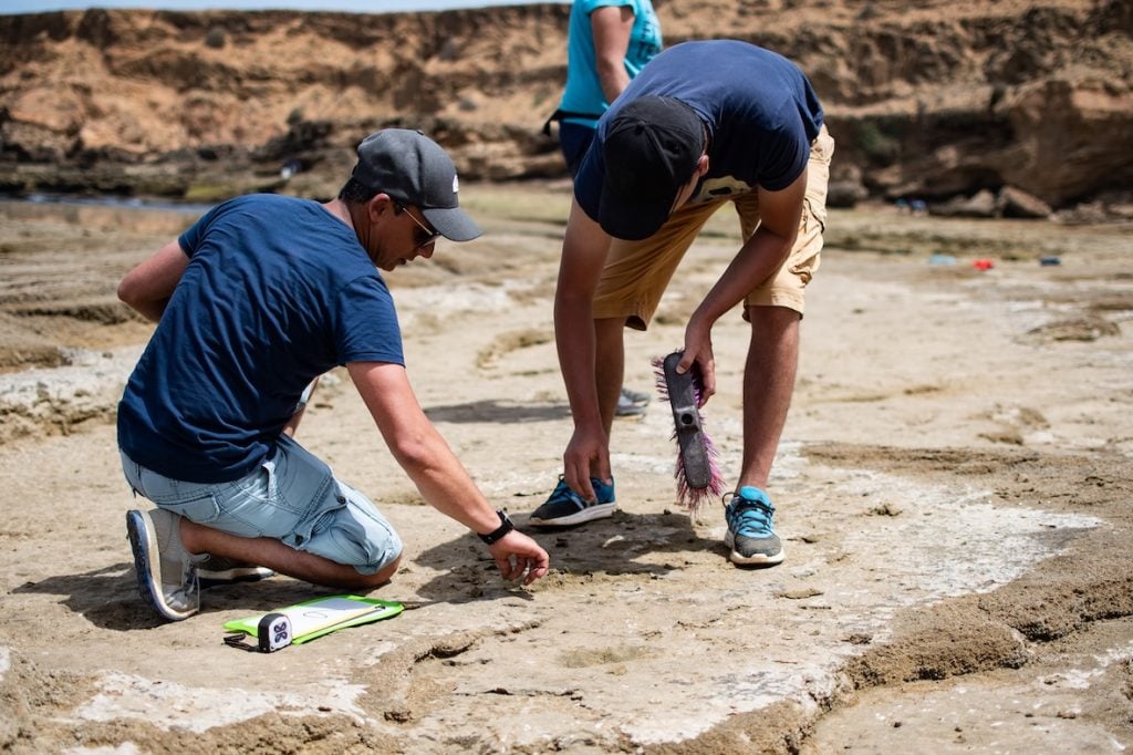 Researches measure ancient footprints on a Moroccan beach.