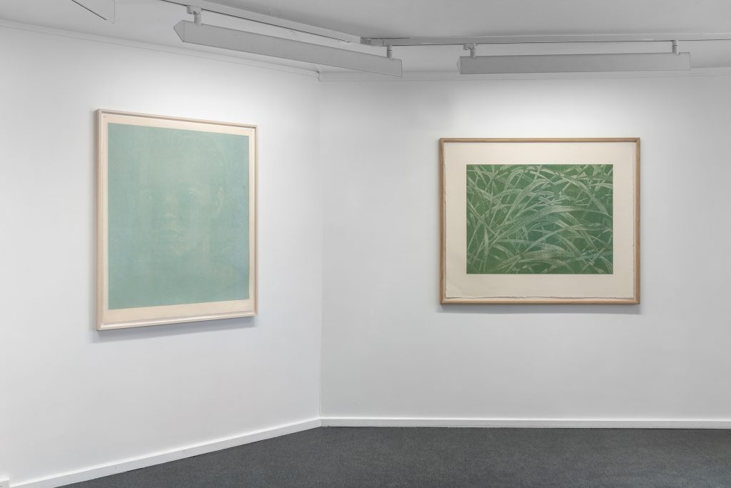 Installation view of "Franz Gertsch: Selected Woodcuts" (2024). Courtesy of Galleri K, Oslo.