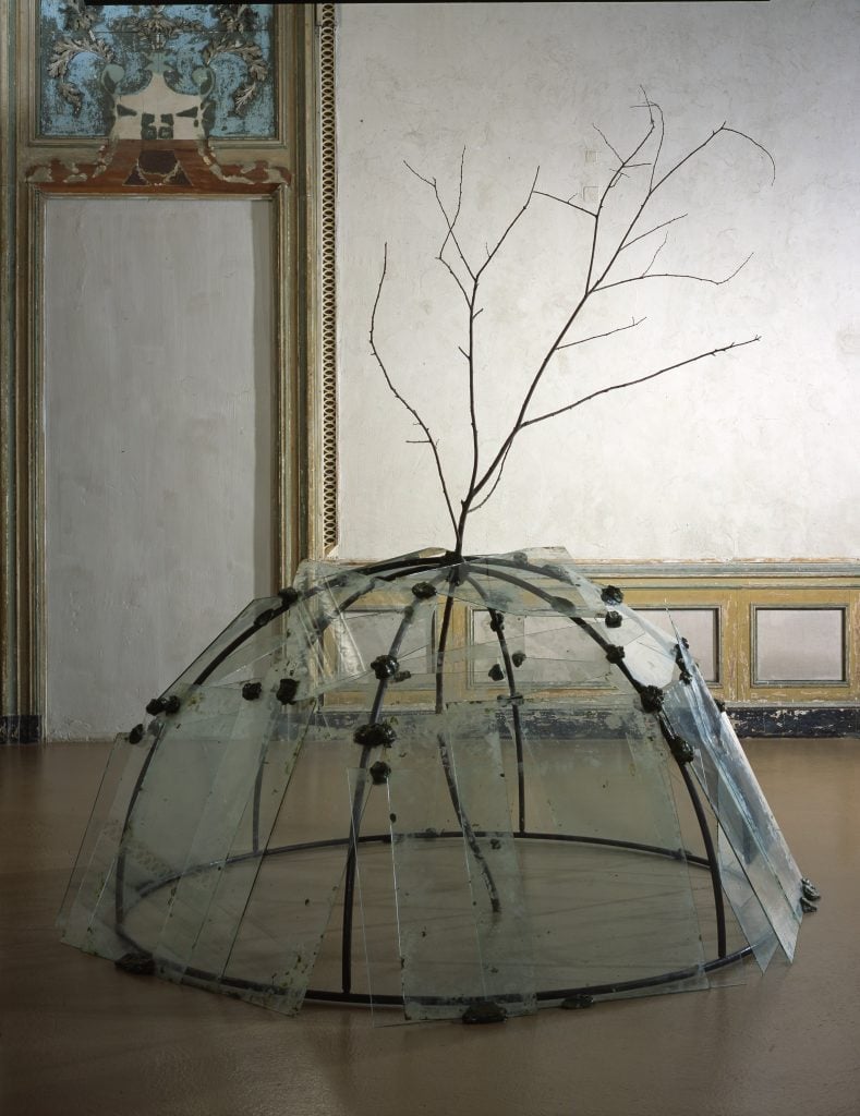 Mario Merz's igloo with tree installation.