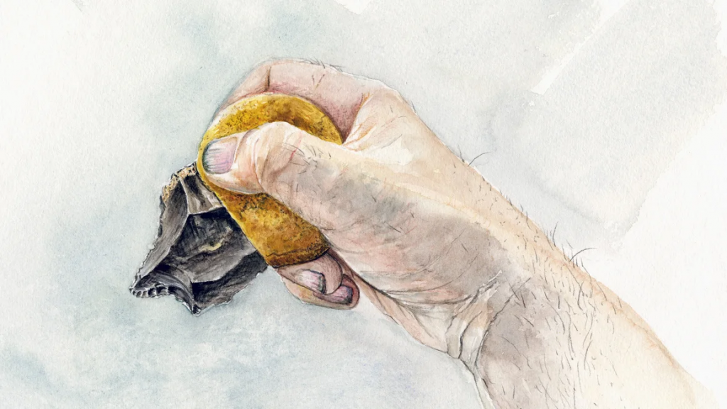 a drawing of a hand grasping a stone age tool