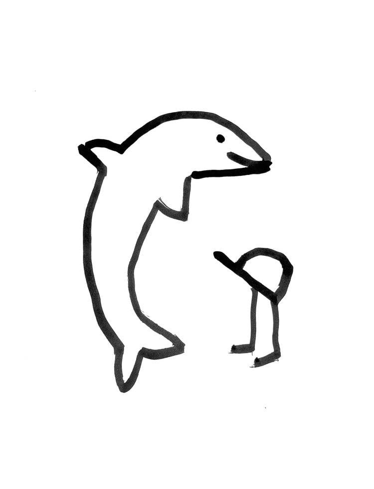 Pablo Declan, a dolphin with a baseball hat. Copyright of Declan & Co.