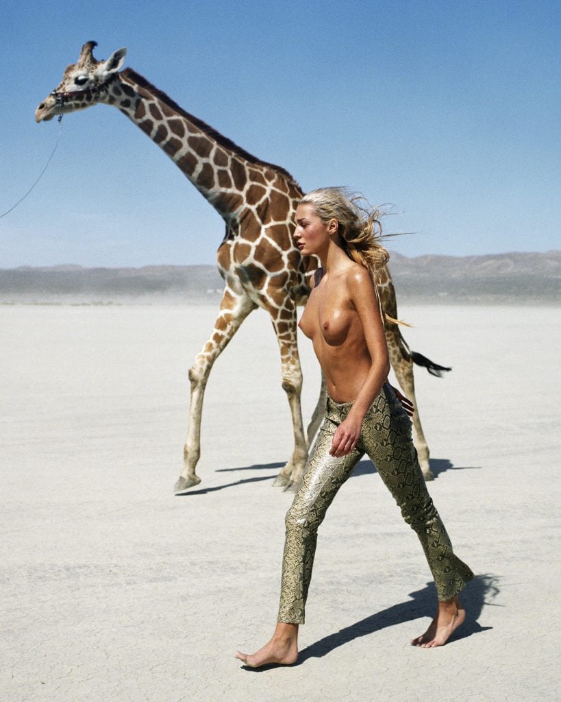 A blonde woman topless wearing snakeskin pants walking in the dessert with a giraffe set behind her.