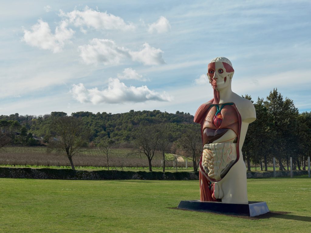 large sculpture like a human anatomical model in a green landscape