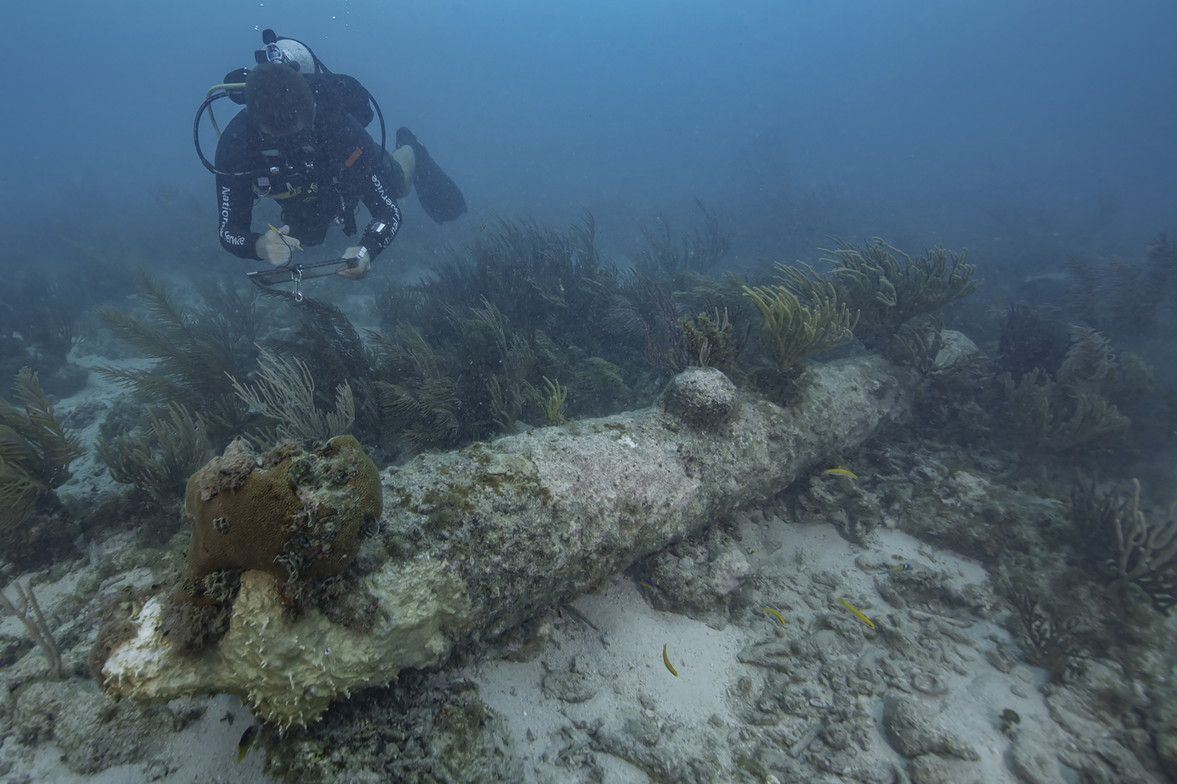 a diver inspects one of the cannons of HMS Tyger