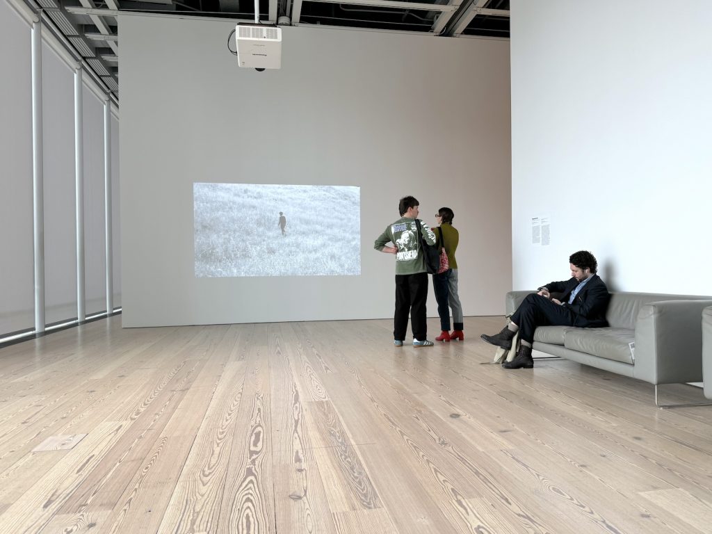 People in a gallery look at a projection of a woman in the field