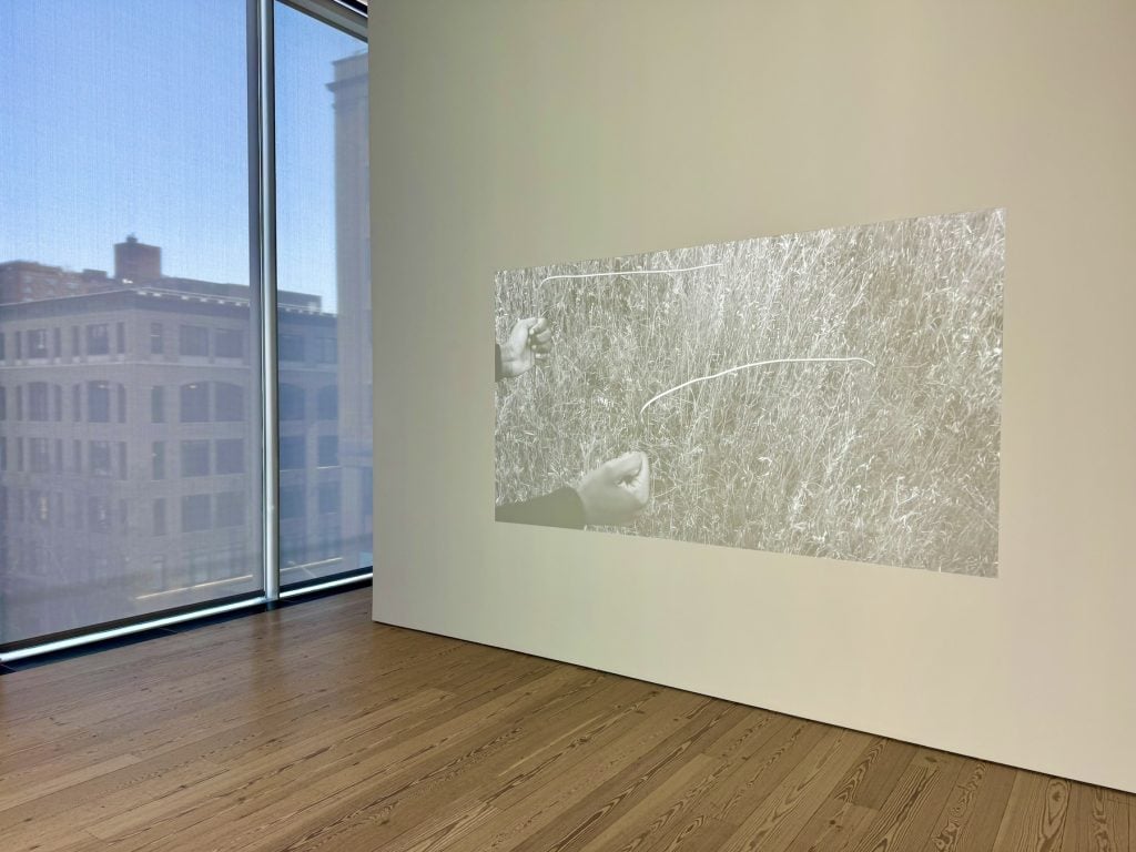 A video playing in an art gallery by a window