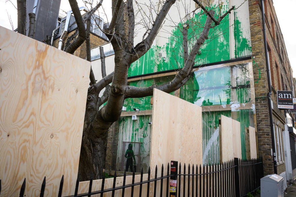 The image shows a tree behind an iron fence that has been reinforced with tall pieces of plywood. a white painted brick wall behind the tree is splashed with green paint