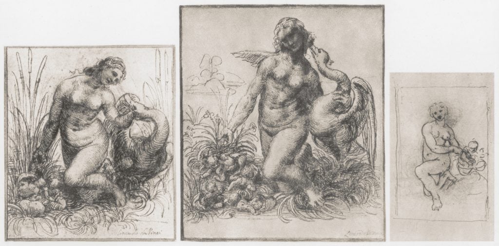 Leonardo Da Vinci's three sketches for Leda and the Swan, each depicting the mythological Leda frolicking with a swan.