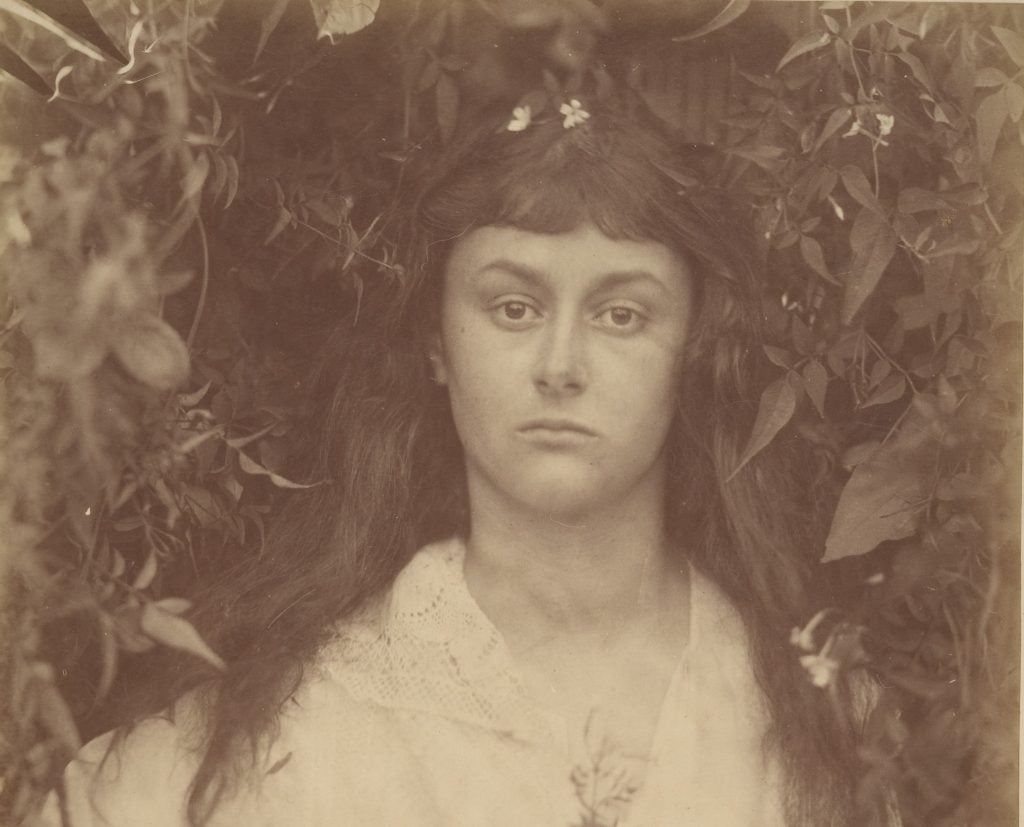 a sepia toned photograph of a young woman's head against some shrubbery