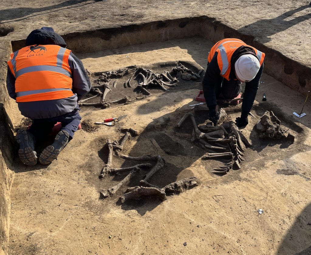 LDA archeologists excavating site outside of Magdeburg.