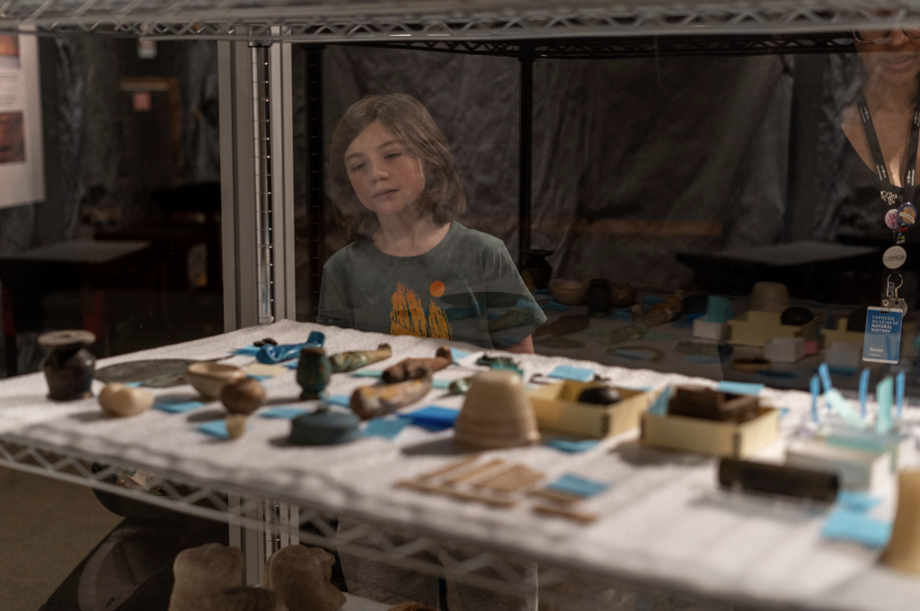 A young child looks into a glass display case of ancient relics.