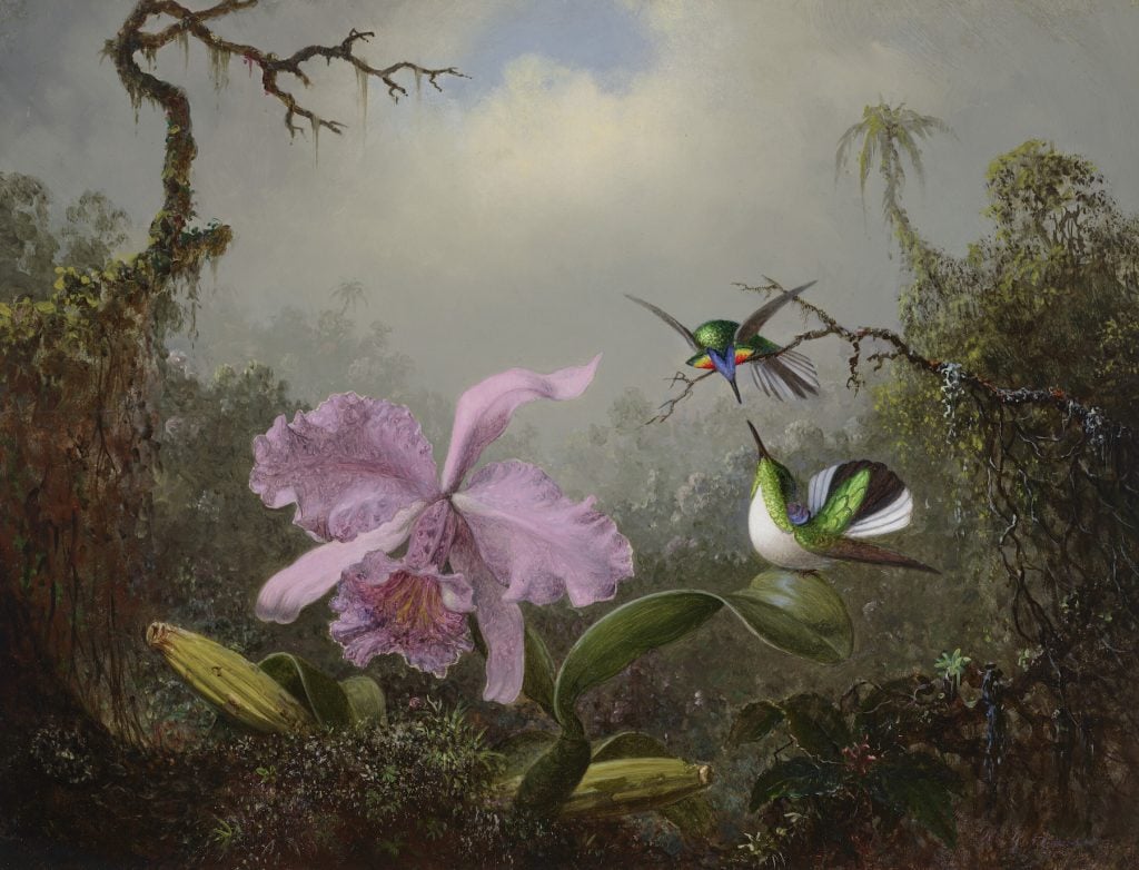 an image of a painting by Martin Johnson Heade with with a vibrant Cattleya orchid in full bloom with two colorful Brazilian hummingbirds hovering nearby