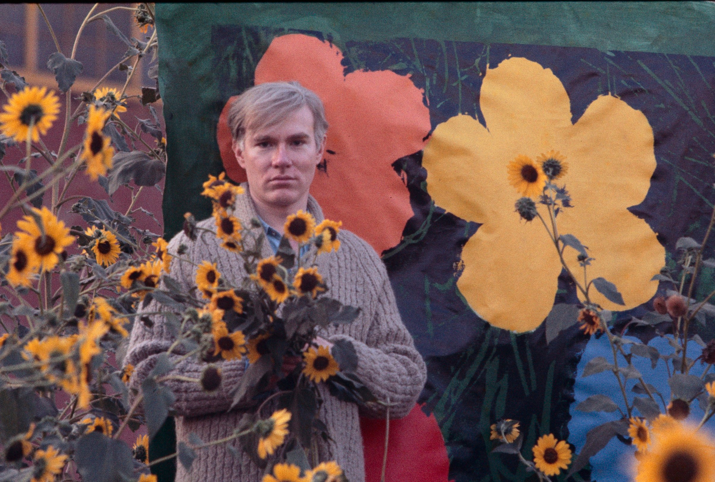 Artist Andy Warhol stands in a field of sunflowers with one of his paintings of flowers.