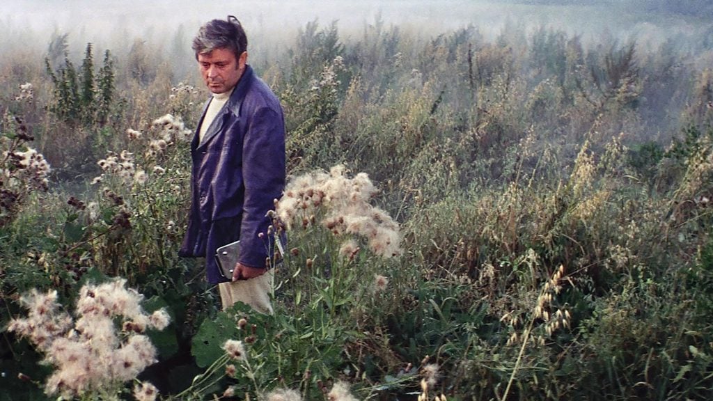 A still from the film Solaris, depicting a man standing alone in a field of tall grass.