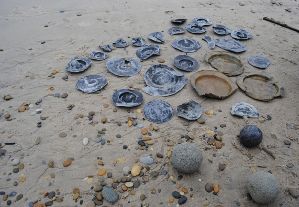A photograph of a collection of blue and brown 16th century plates from a shipwreck that washed ashore in Portugal