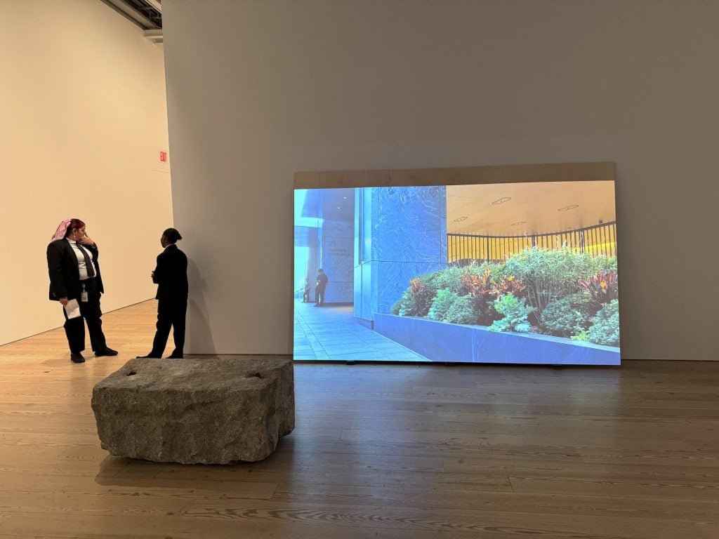 A video showing a planter being shown in a gallery