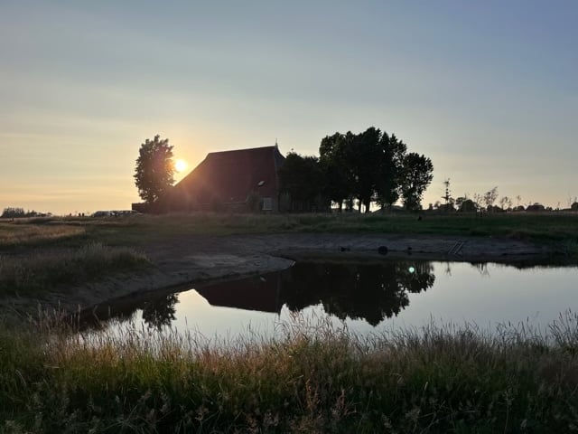 The image is of a house situated by a pond. The outdoor scene includes grass, trees, plants, and a beautiful landscape with water reflecting the sky. The setting appears to be either during sunrise or sunset, creating a serene and natural atmosphere.