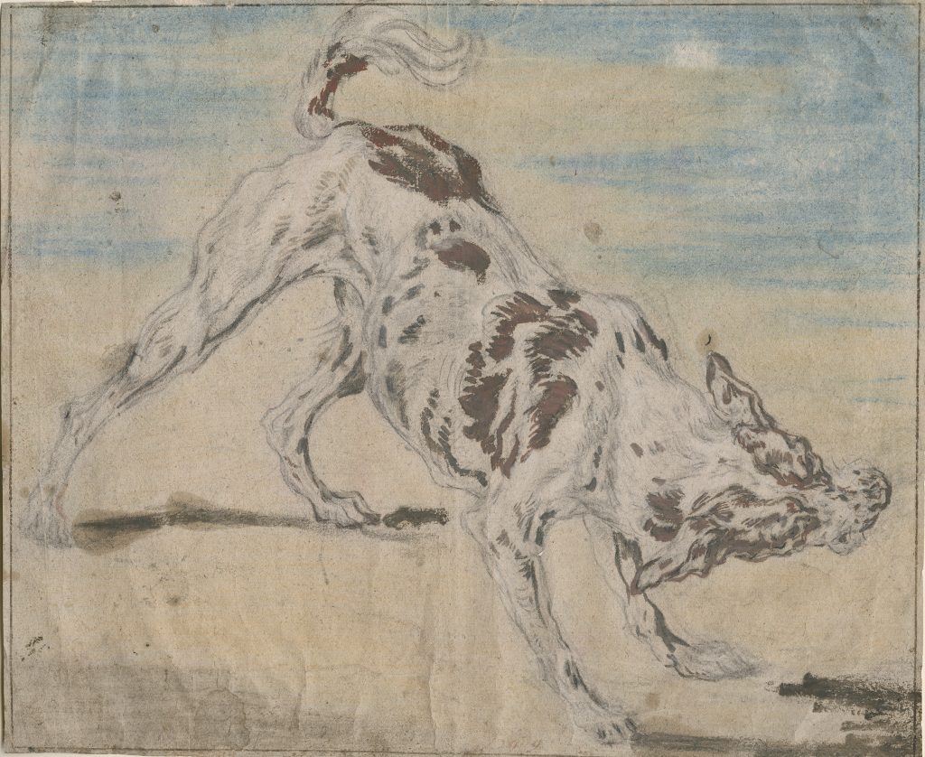 A scan of an unfinished, partially colored drawing of a tawny dog stretching and twisting beneath a half-blue sky