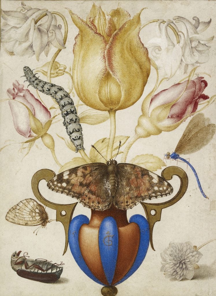 A scan of a finished, colored, and shaded drawing featuring an arrangement of flowers and insects centered on a vase